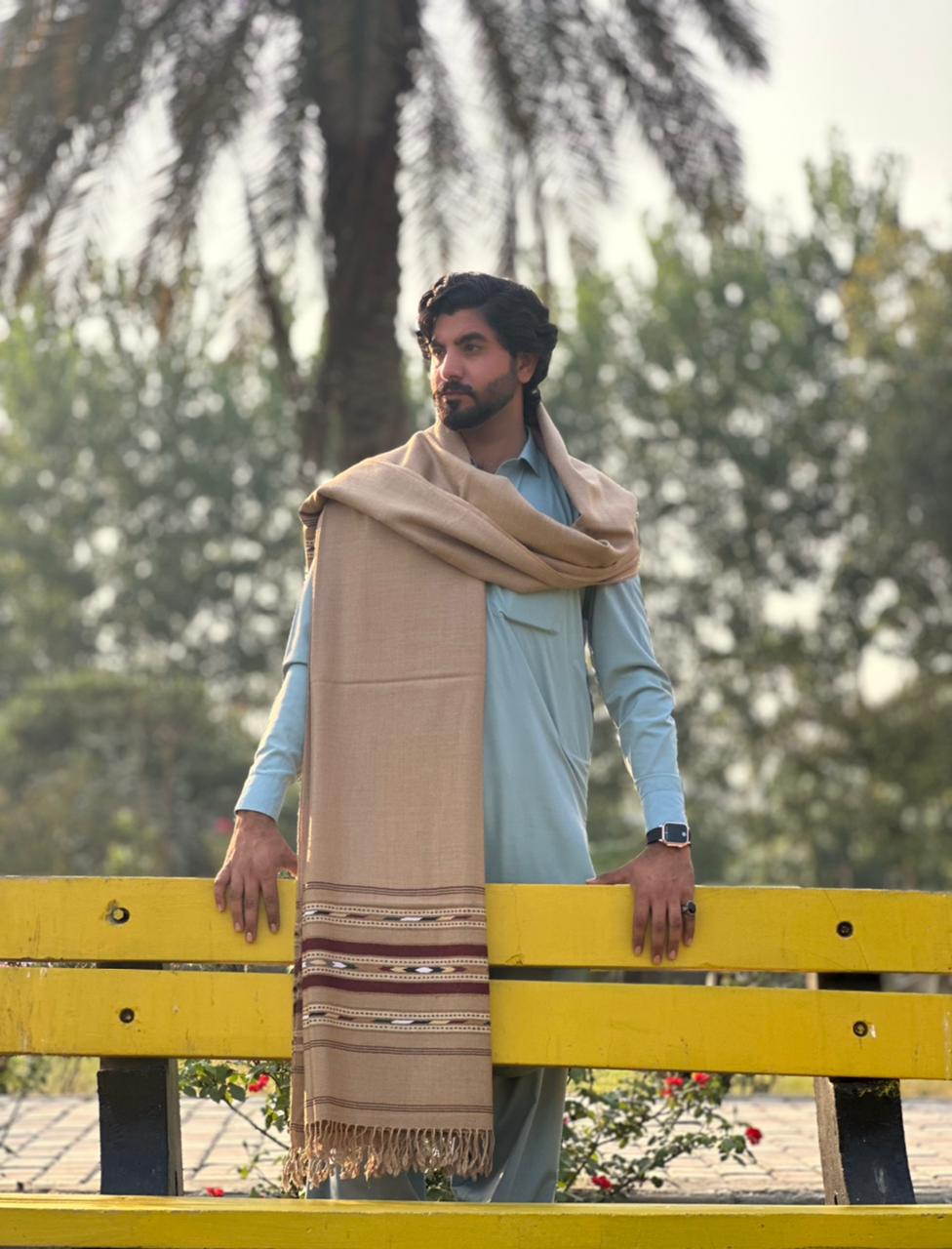 Falenzo Camel Colour Pashmina Shawl (48 triple count and 650gm)