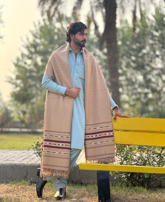 Falenzo Camel Colour Pashmina Shawl (48 triple count and 650gm)